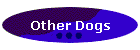 Other Dogs